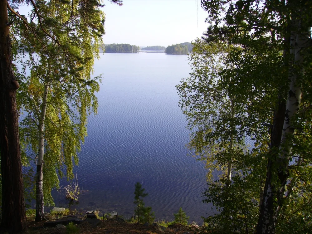 Увильды