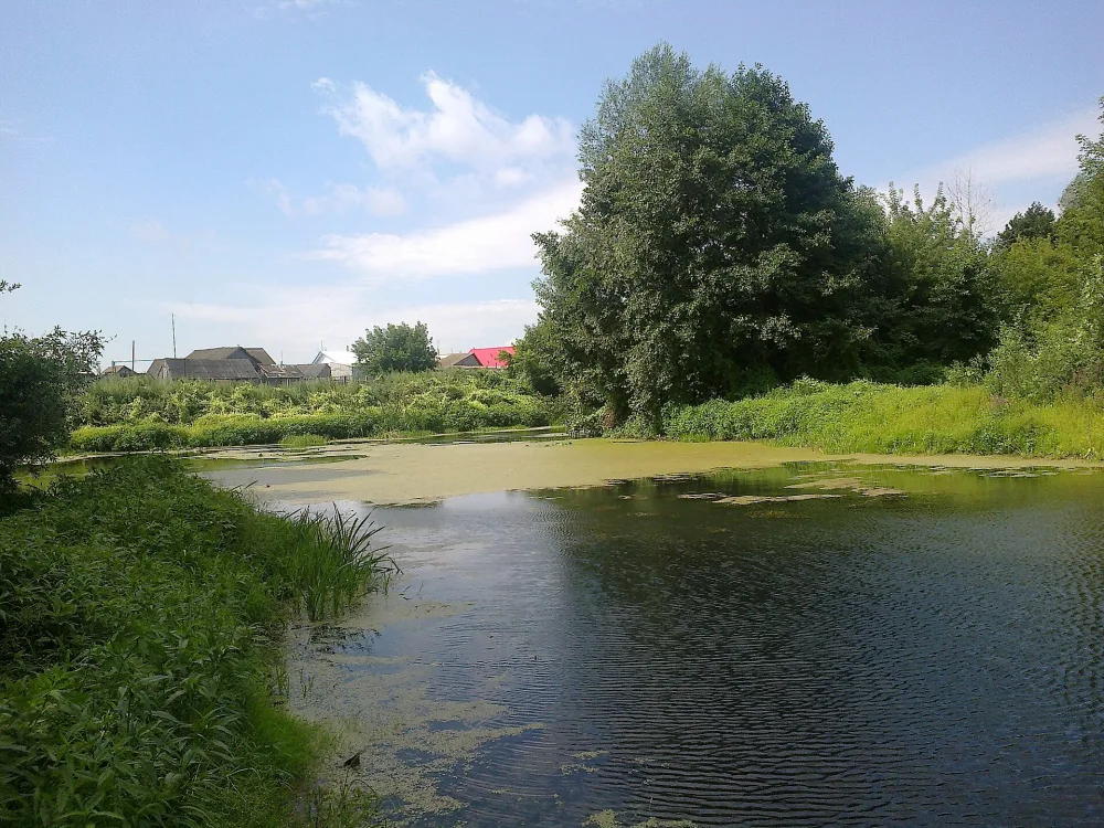 Урень