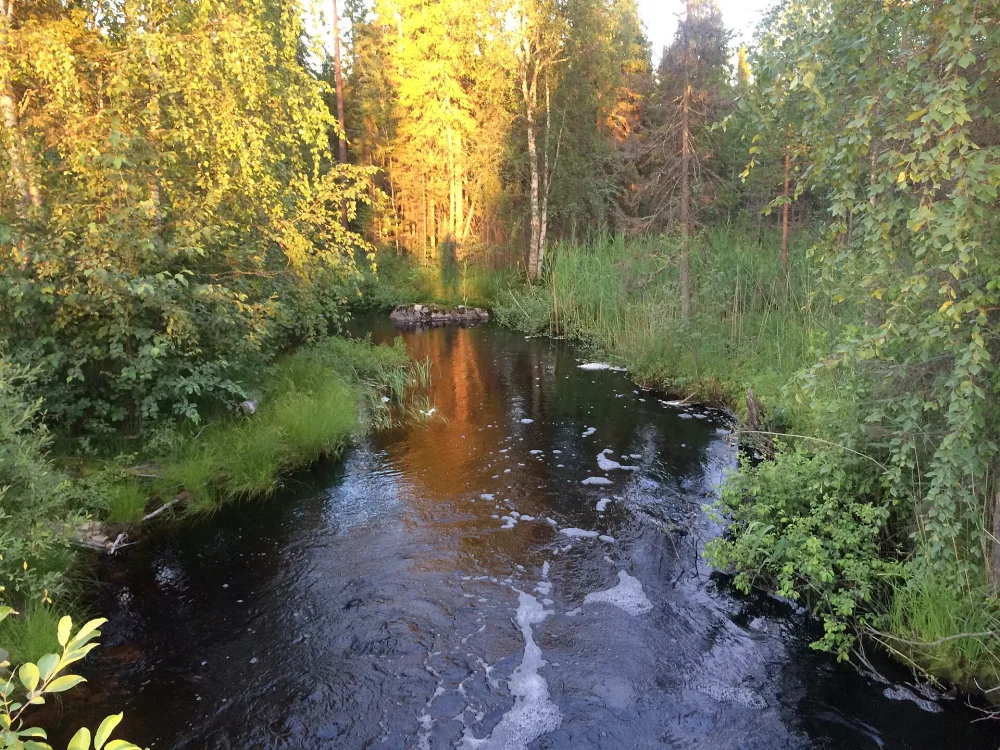 Вайвонец