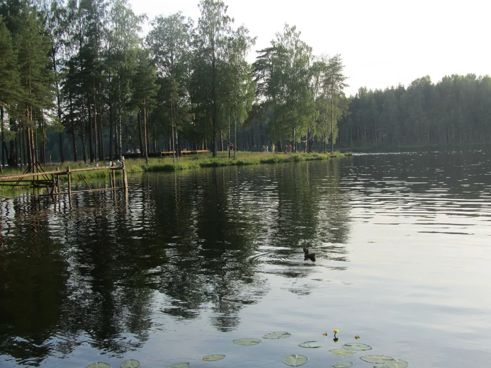 Коркинское