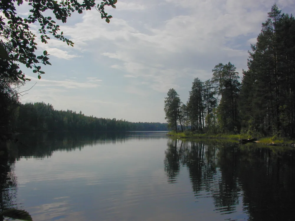 Вендюрское