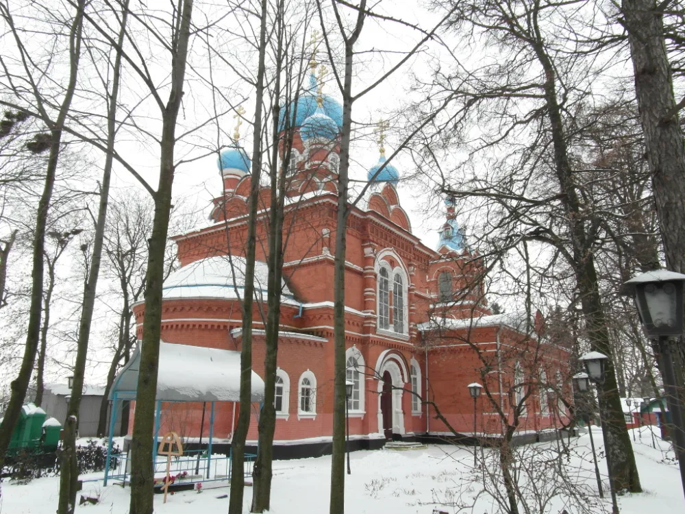 Покровская церковь с интерьером (Новоселебное)
