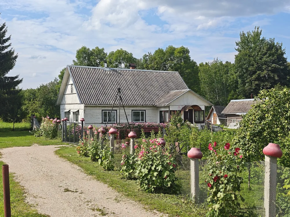 Жилой дом (Старый Изборск)