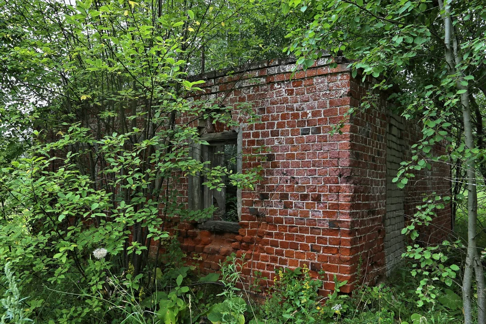 Сторожка (Корзино)