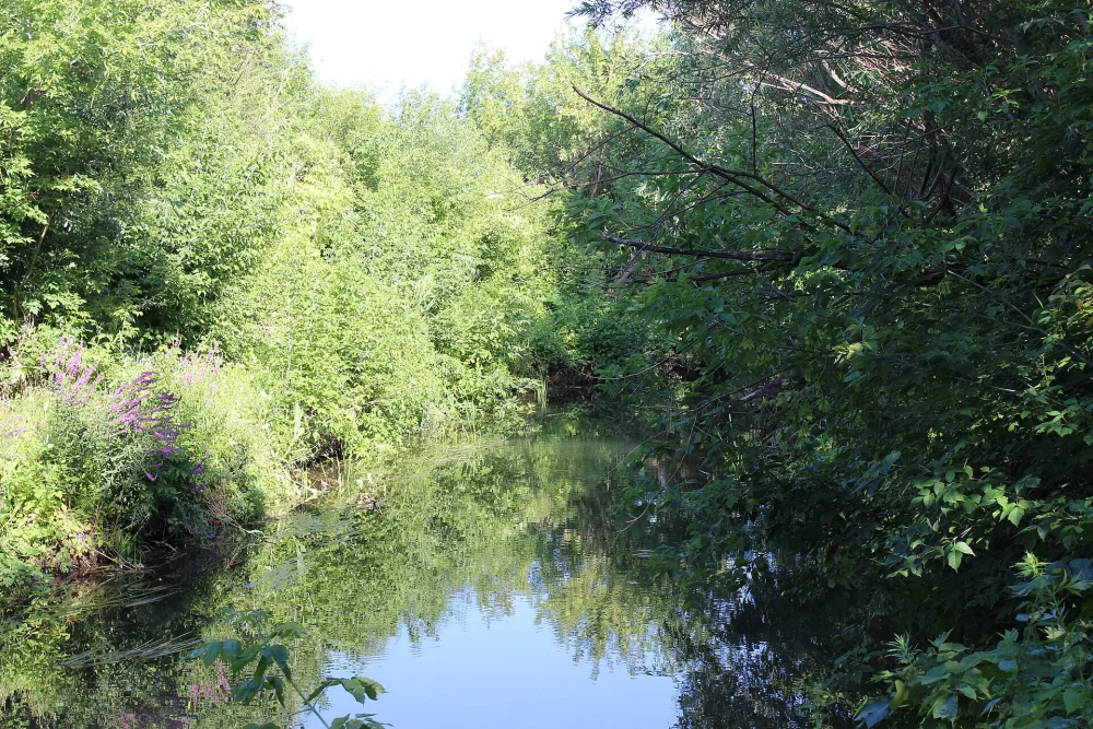 Куганак