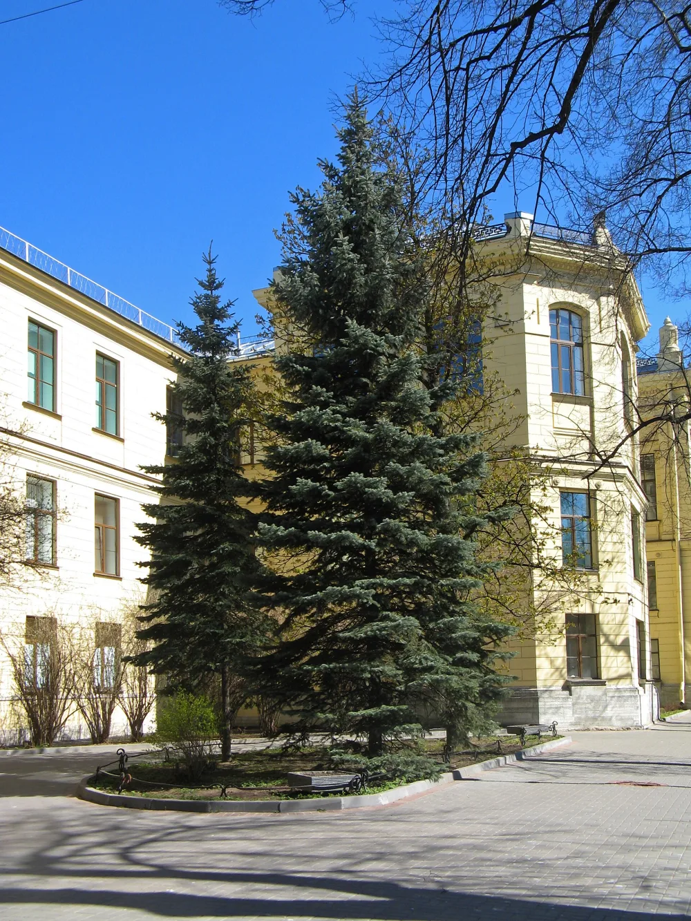 Палисадники (четыре)