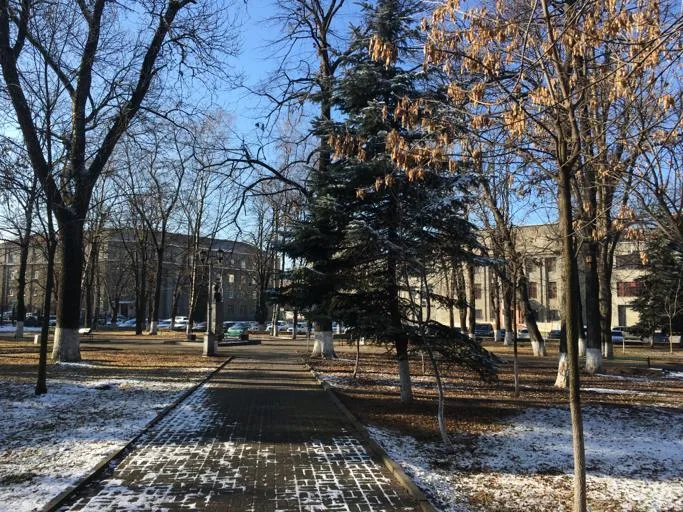 Пушкинский сквер (Владикавказ)