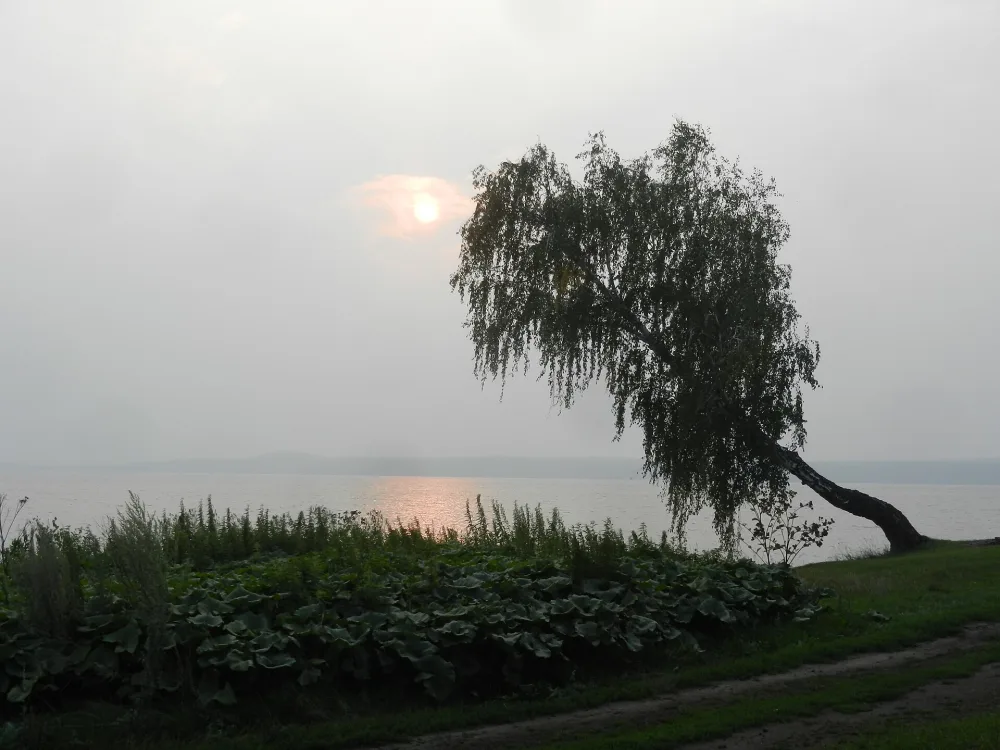 Окункуль