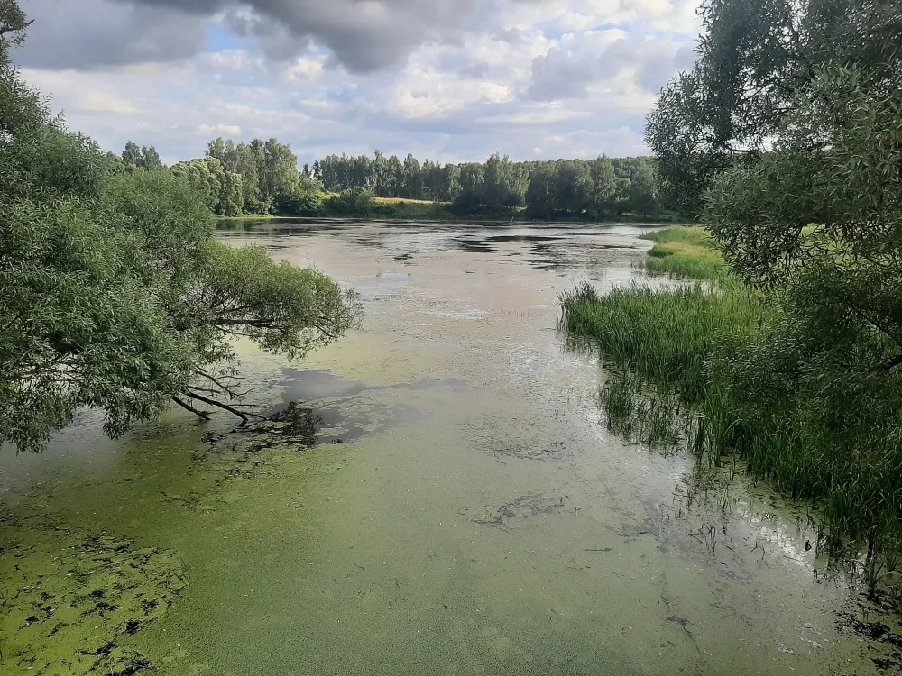 Малая Снежедь