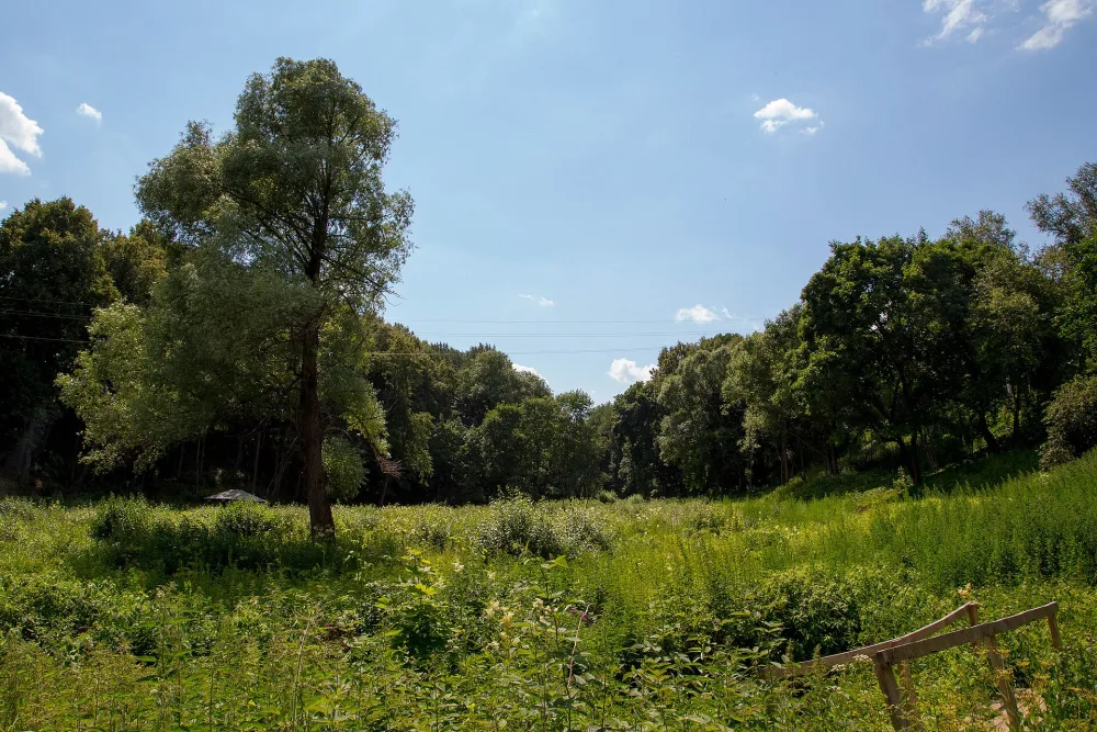 Парк (Тарасково)