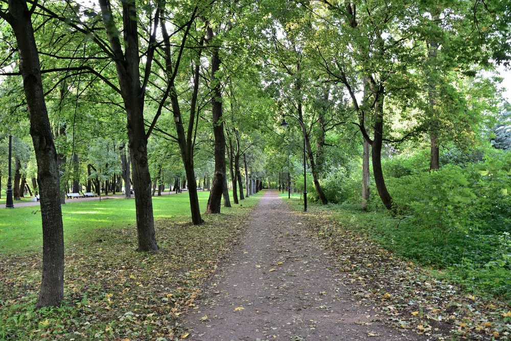 Парк
