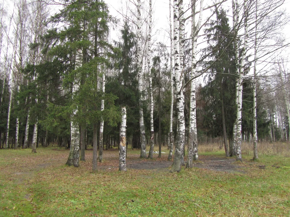 Парк (Гатчина)