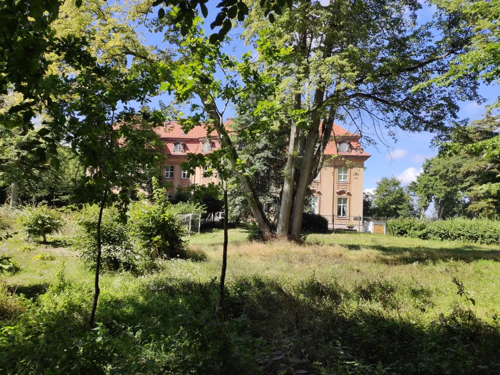 парк «Сосновка»