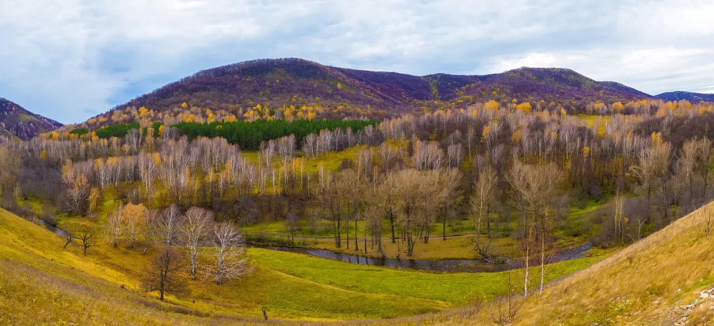Селеук