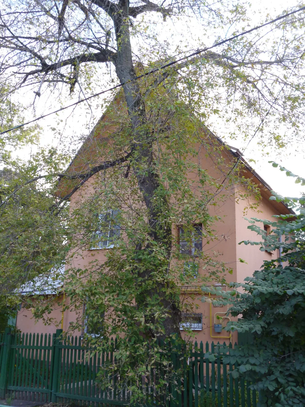 улица Саврасова 5