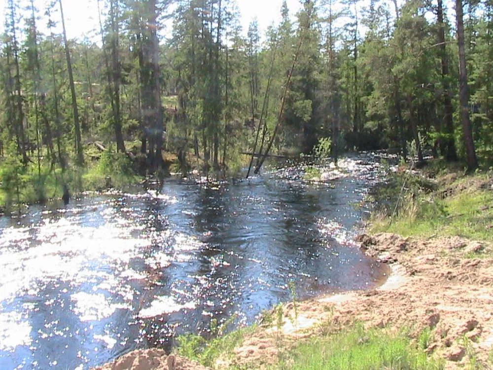 Мыла