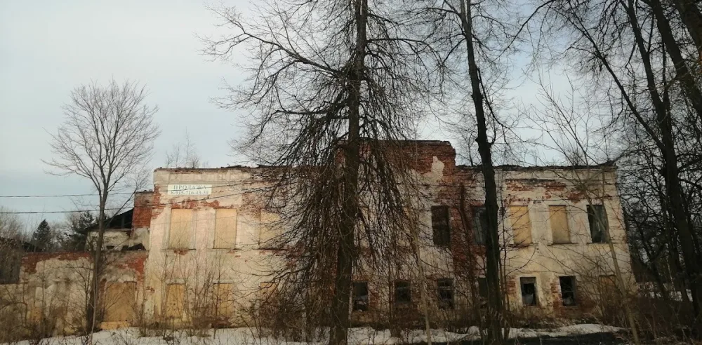 Главный дом (Кашин)