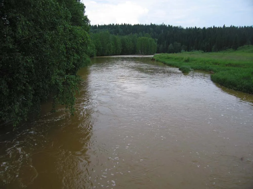 Кизел