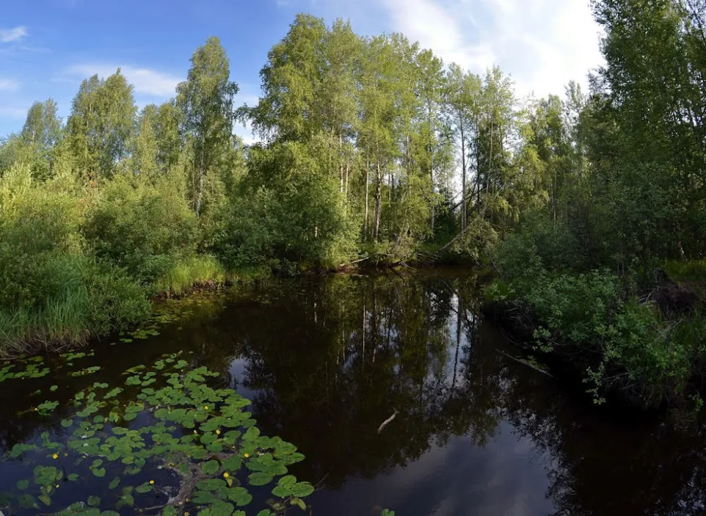 Волосница