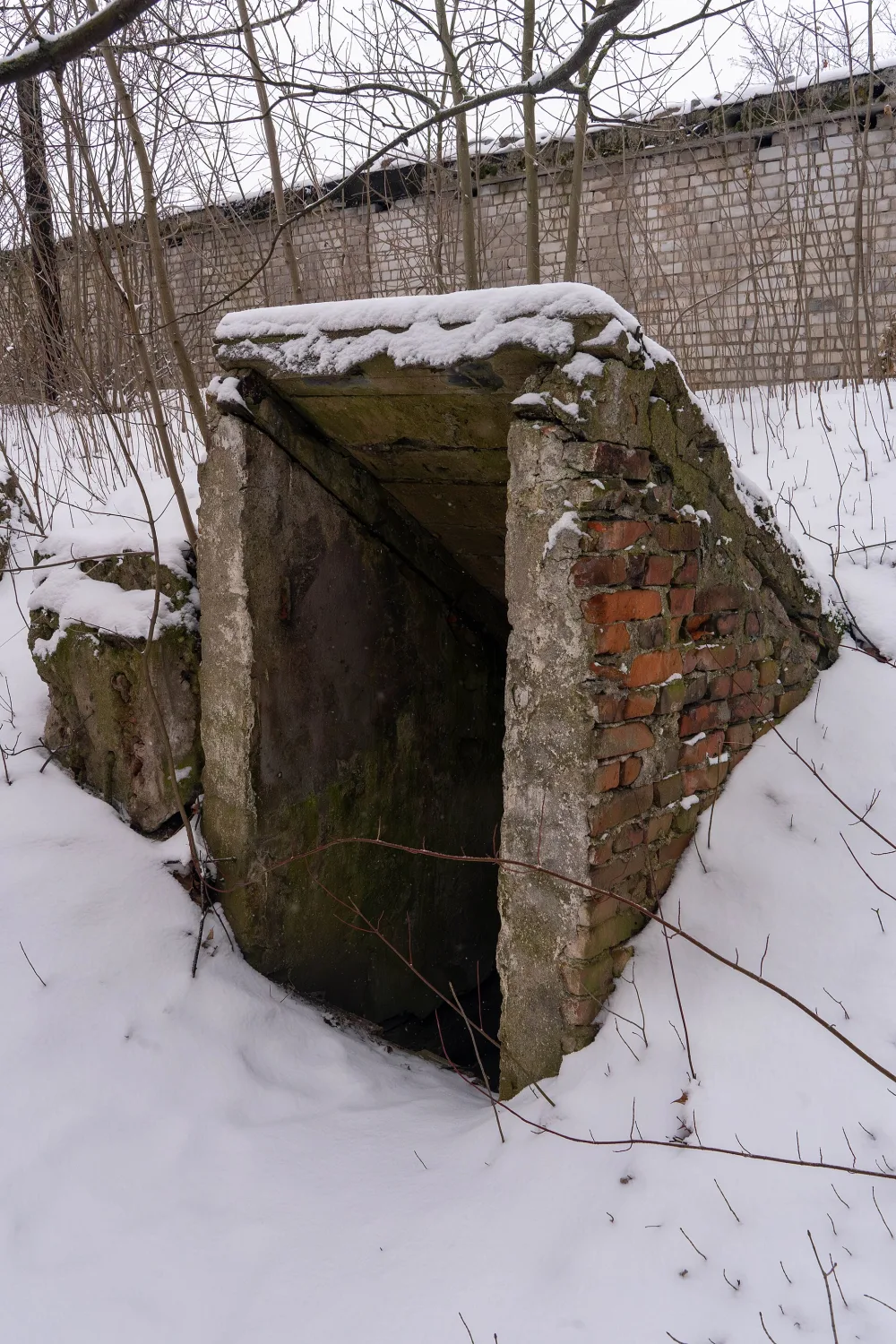 Бункер (Великие Луки)