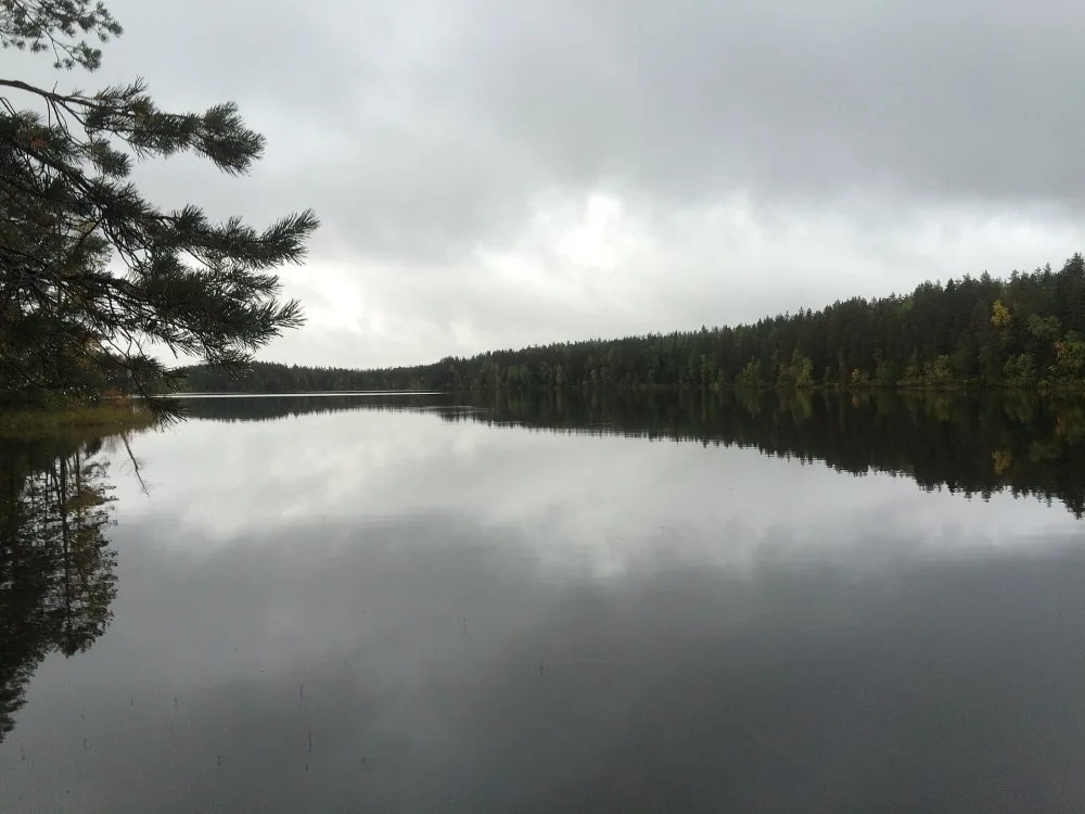 Полвиярви (озеро)