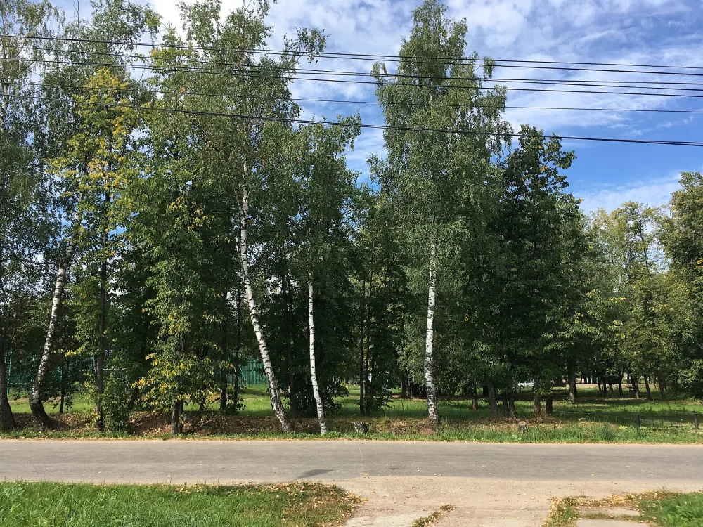 Парк (Лобня)