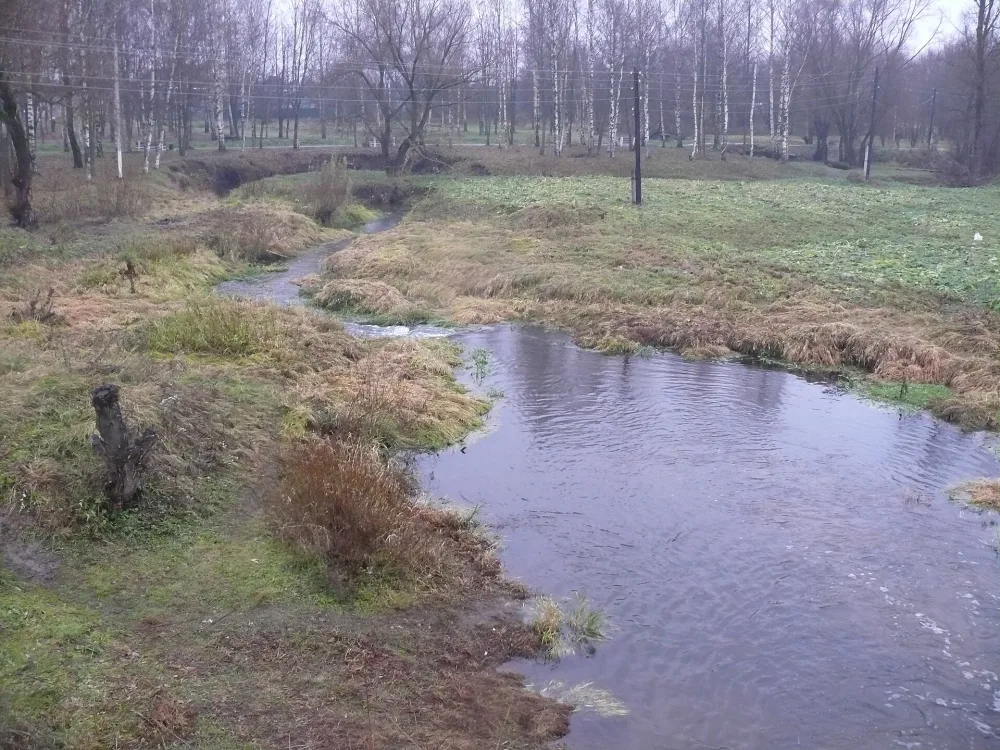 Крутец