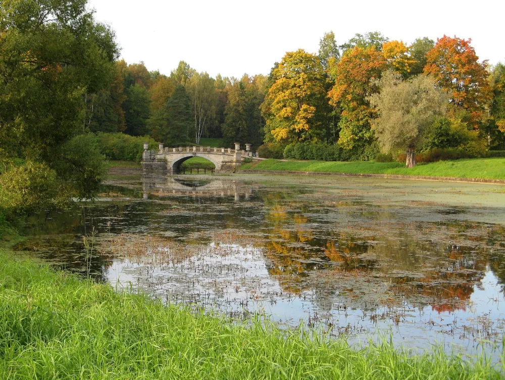 Висконтиев пруд (Павловск)