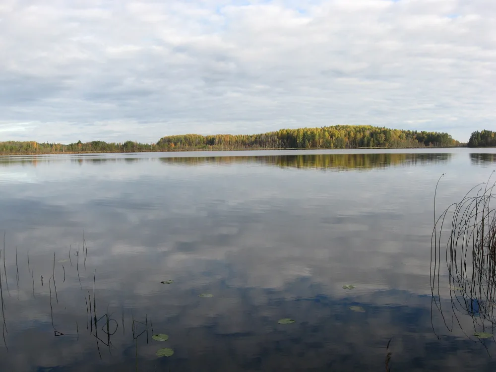 Вороновское (озеро)