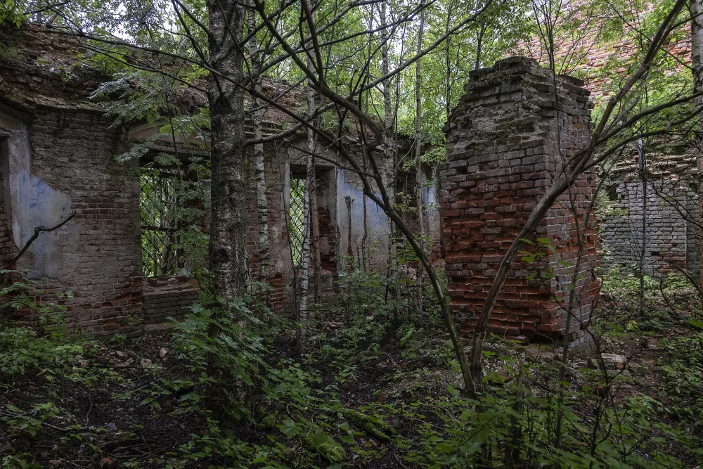 Церковь Параскевы Пятницы (Никифорово)