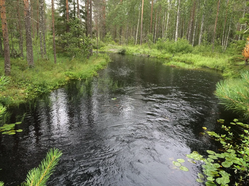 Волгайоки