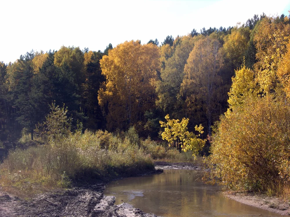 Ельцовка