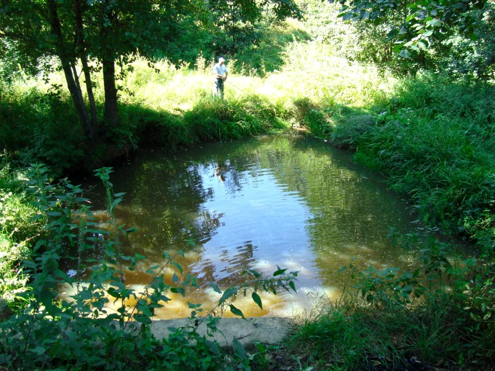 Мергель