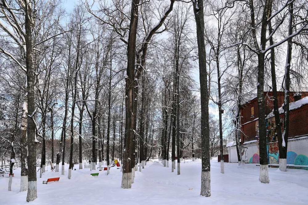 Парковая аллея (Фурманов)