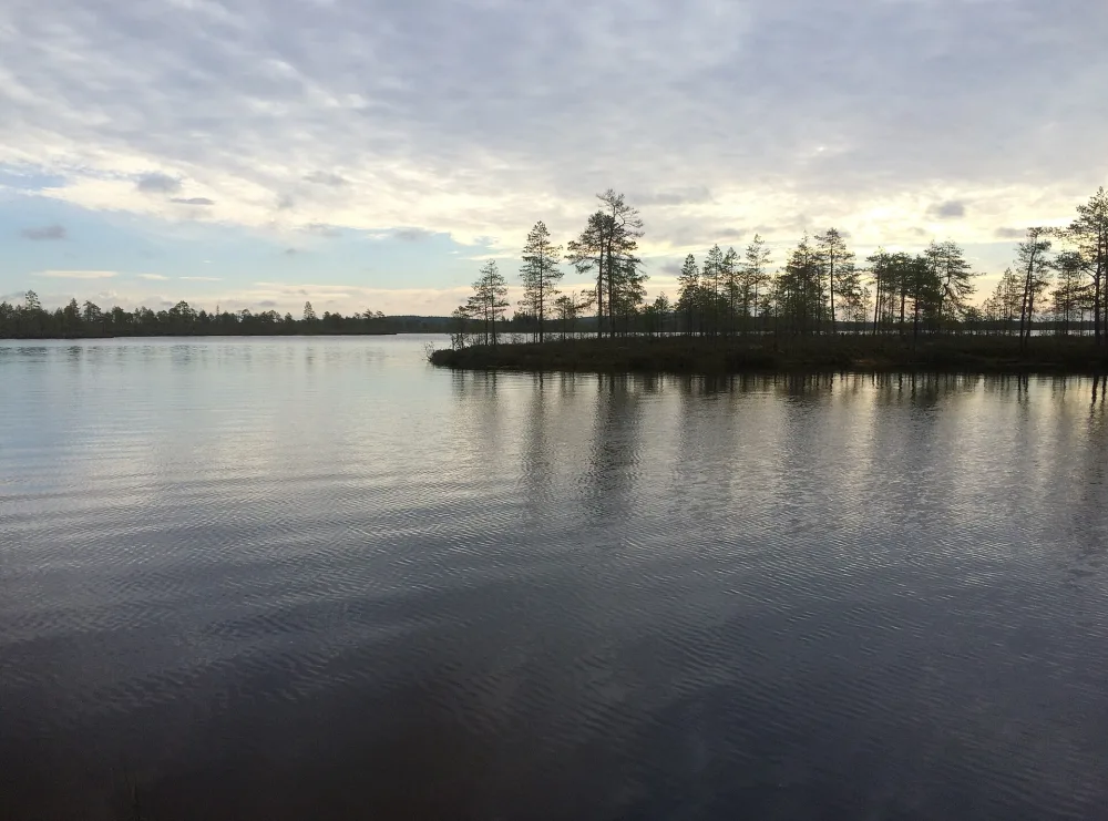 Подсюрежное