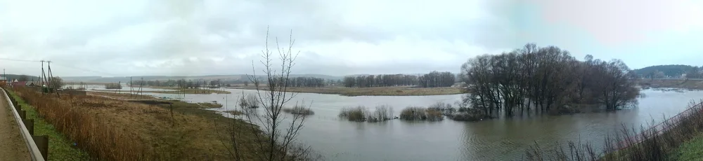 Боровна