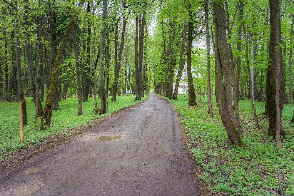 Парк (Кольцово)