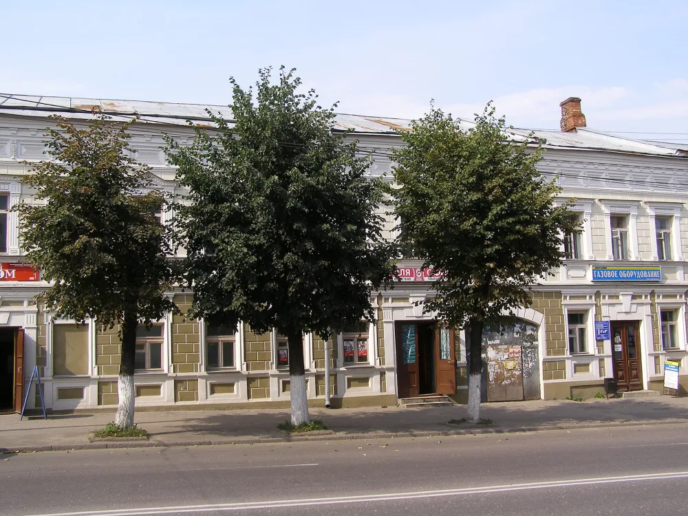 Дом Васильева (Владимир)