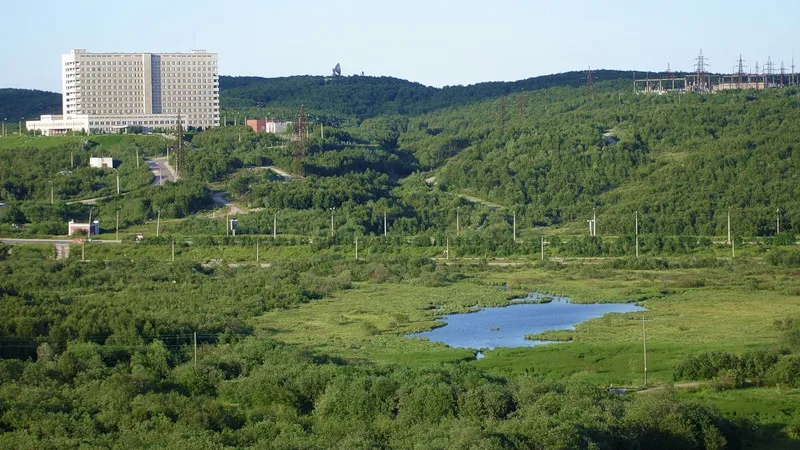 Варничное
