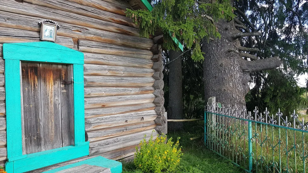 Культовая роща (Евгора)