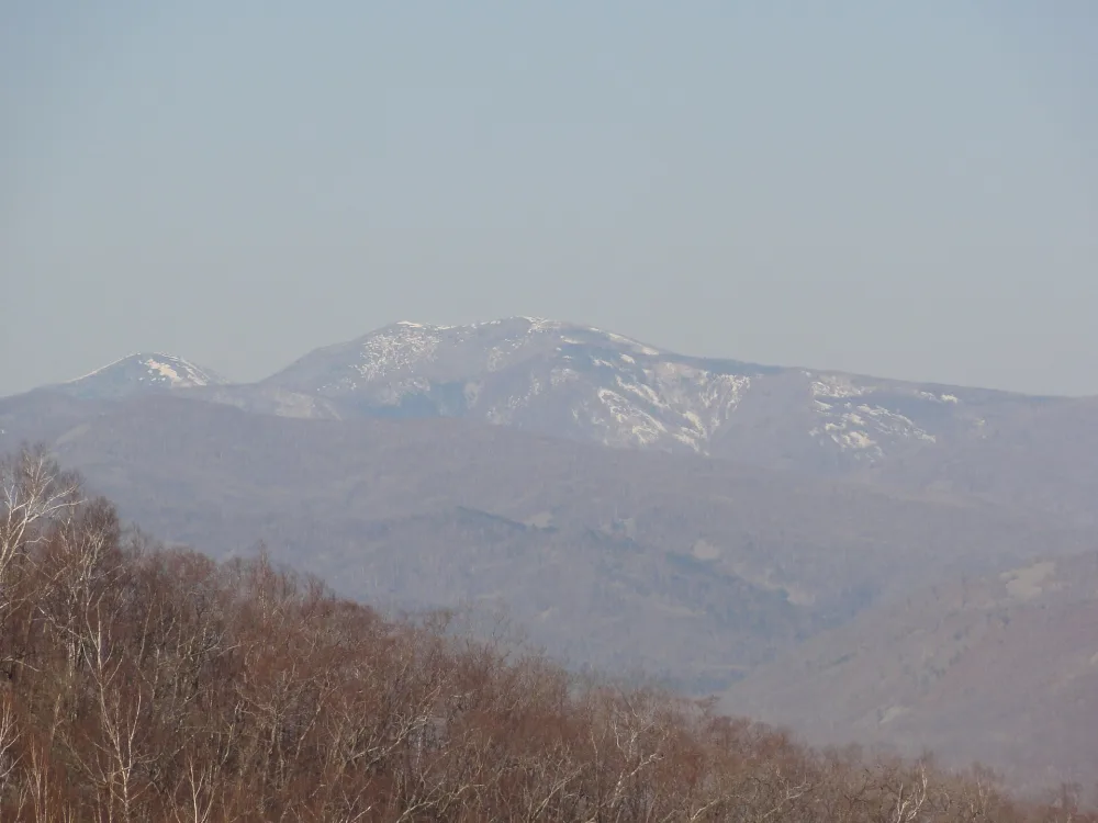 Гора Голая