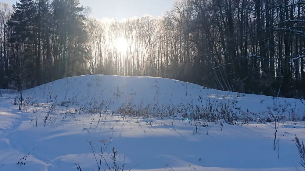 Городище «Пущинское» (Пущино)