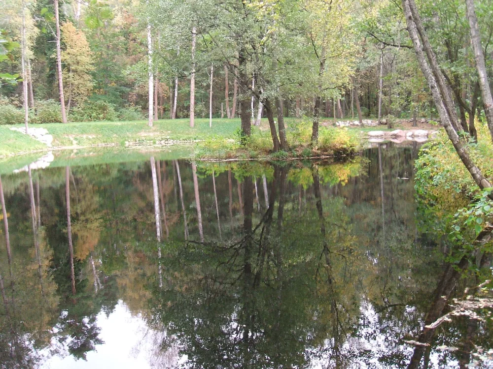 Парк (Комарово)