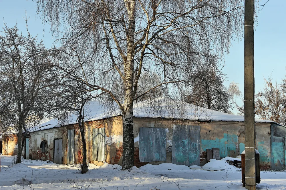 Хозяйственные постройки (Владимир)