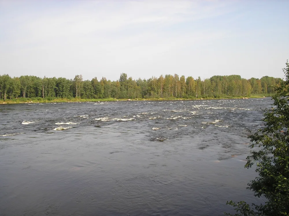 Падунец