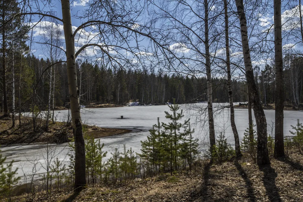 Полуденка