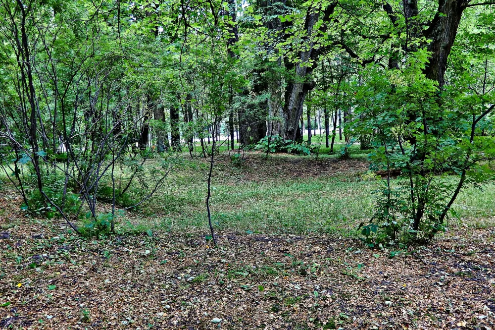 «Воздушный театр» (остатки) (Павловск)