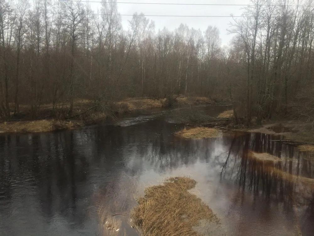 Морье
