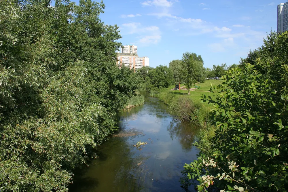 Городня