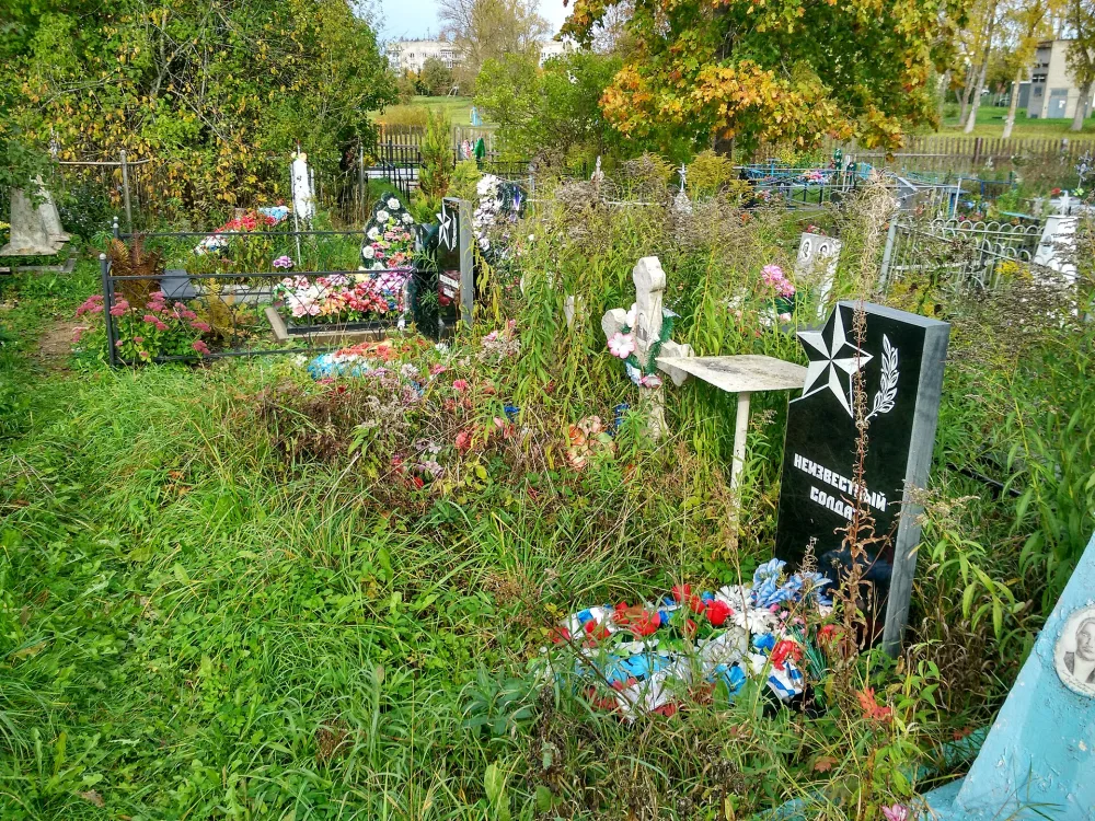 Братское кладбище советских воинов, погибших в борьбе с фашистами (несколько одиночных могил на одном участке) (Старая Ладога)
